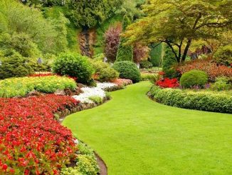 Discovering the Magic of Garden Design
